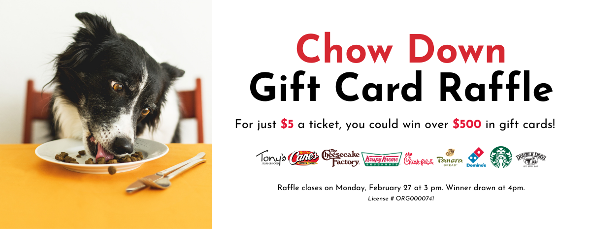 Chow Down Gift Card Raffle
